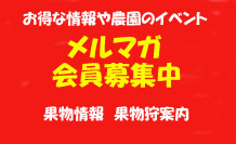 �R���̓��A�����A�Ԃǂ�����񃁁[���}�K�W��